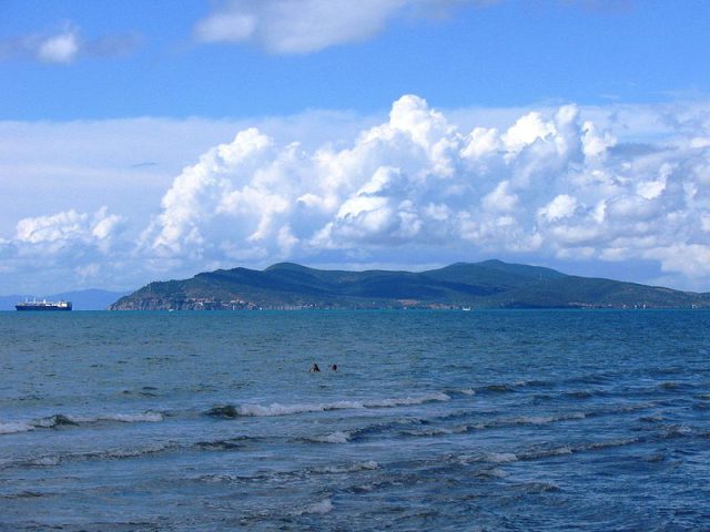 Telamon view