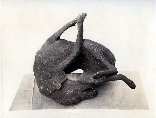 The photo shows a cast of a dog that was found in Pompeii