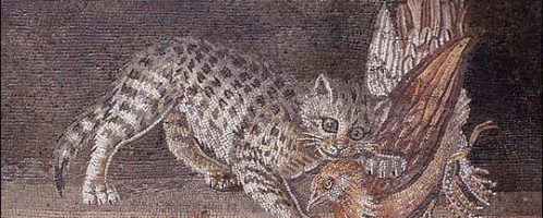 Kot na mozaice rzymskiej