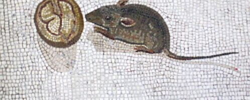 Mozaika rzymska ukazująca mysz jedzącą orzech