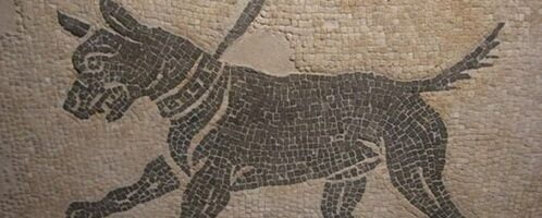 Dog on mosaic