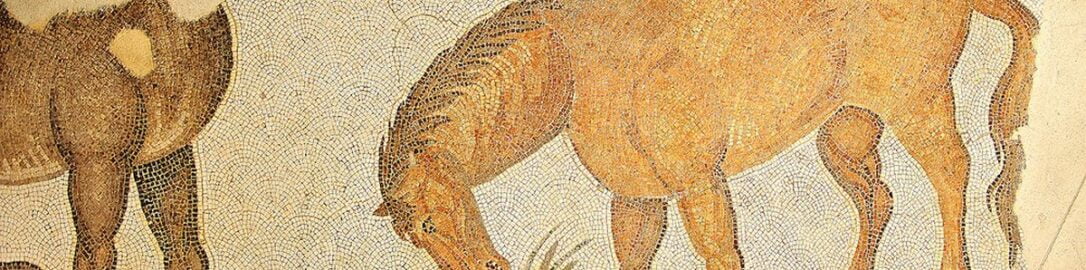 Koń na rzymskiej mozaice w Ostii