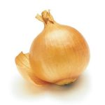Onions - delicacy of Romans