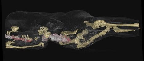 Scans of bodies in Pompeii