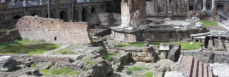 A cat shelter in the place where Caesar died