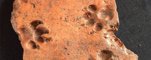 Ancient footprints