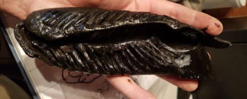 Hundreds of shoes were found in the Roman fort of Vindolanda