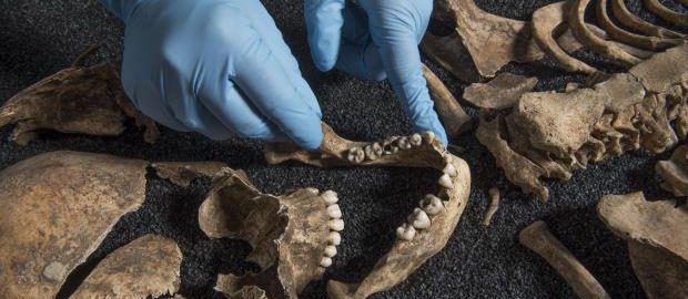 Szkielety z antycznych Chin odnalezione w Londynie