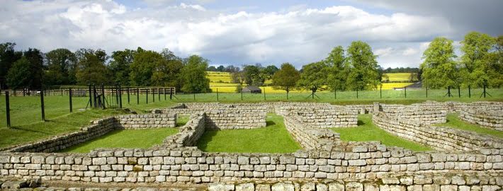 Horses shared rooms with legionaries