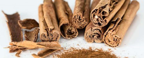 Cinnamon - a valuable spice of antiquity