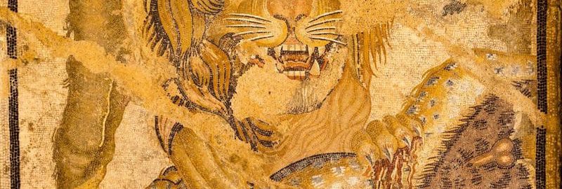 Beautiful Roman mosaic showing a lion fighting a leopard