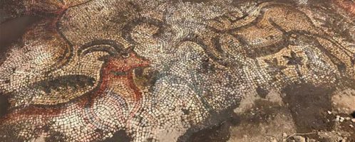 Roman mosaic has been discovered in eastern Turkey