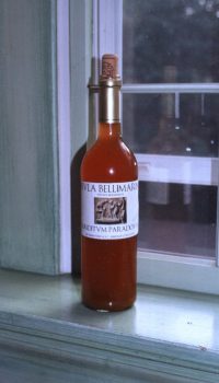 Contemporary Conditum Paradoxum wine