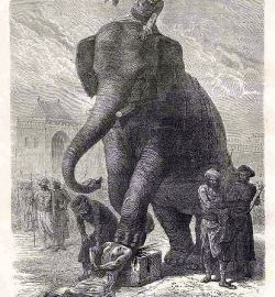 An engraving showing the crushing of a condemned man's head by an elephant