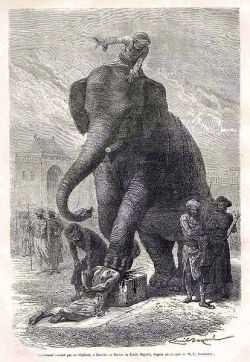 Wizualizacja zgniecenia głowy skazanego przez słonia