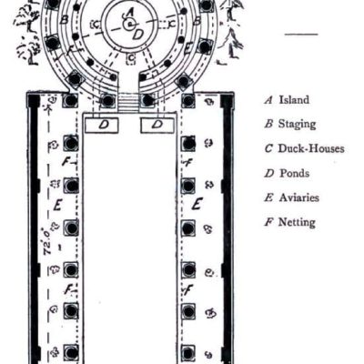 Plan ptaszarni w Casinum