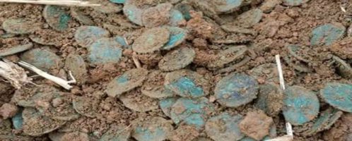Dwaj poszukiwacze skarbów odkryli niemal 2000 monet