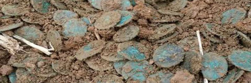 Two treasure hunters discovered almost 2,000 coins