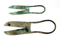 Roman medical scissors
