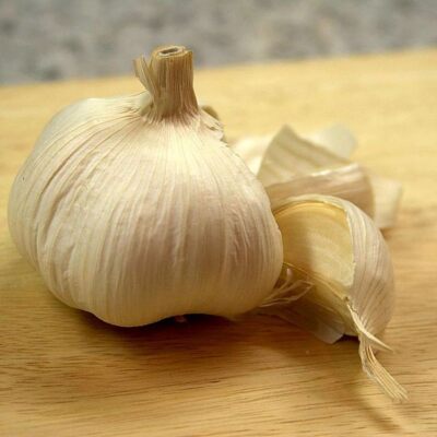 The ancient Romans greatly valued the health properties of garlic