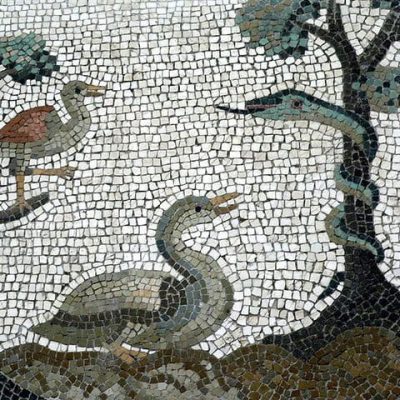 Roman mosaic showing flora and fauna