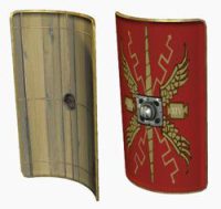 Cross-section of the scutum shield