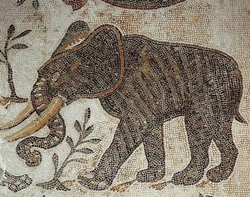 Elephant on the Roman mosaic