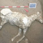 Odkryto pierwsze szczątki konia w Pompejach