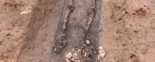 Odkryto 22 rzymskie szkielety w Anglii