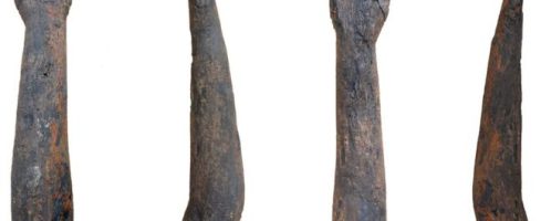 Wooden "arm" discovered in Britain