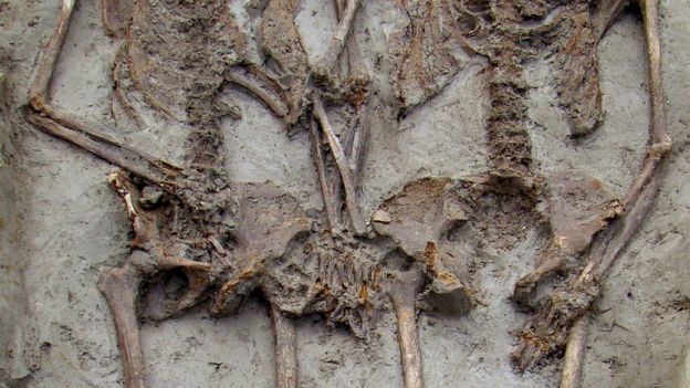 Słynne szkielety z Modeny należały do mężczyzn