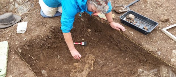 The remains of a slaughterhouse from Roman times have been discovered in  Devon