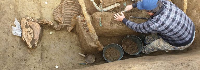 Roman horse chariot discovered in Croatia