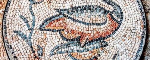 Duck on the mosaic