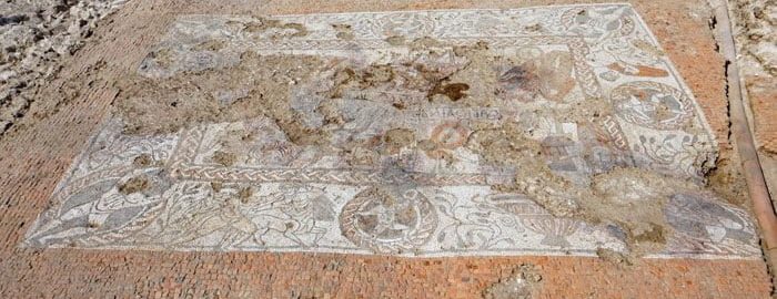 The Roman mosaic in East England was fully exposed