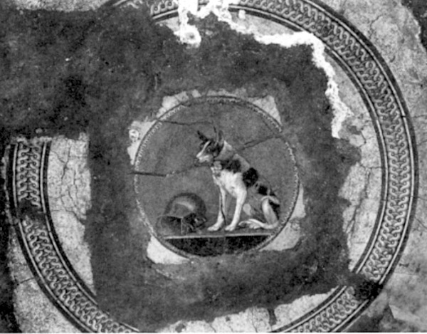 Discovery of a mosaic of a dog