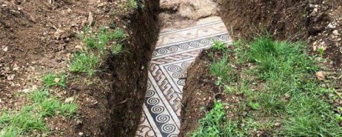 A Roman mosaic was discovered in the vineyard