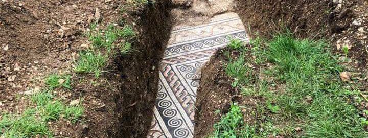 A Roman mosaic was discovered in the vineyard