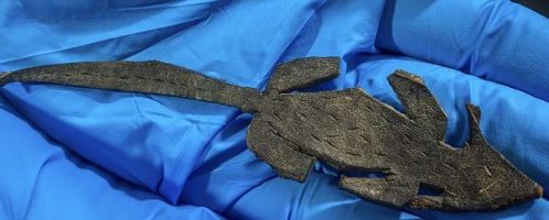 A Roman leather mouse-shaped toy was discovered