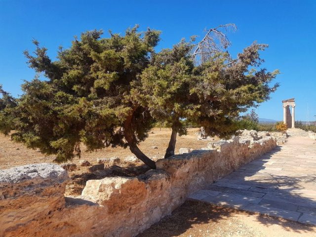 Sanktuarium Apollina Hylatesa - święta droga i świątynia Apollina