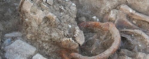 Chained skeleton from a Roman burial ground