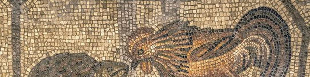 Fight between rooster and turtle on Roman mosaic