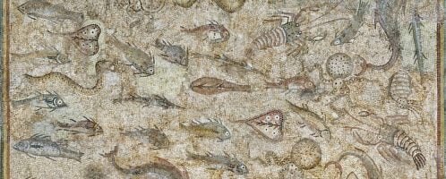 Rzymska mozaika ukazująca dużą ilość różnych gatunków ryb i zwierząt morskich