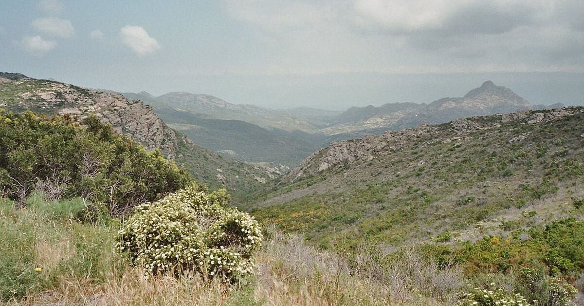 Deforestation in Ancient Rome « IMPERIUM ROMANUM