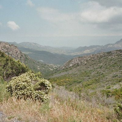 Macchia in Corsica
