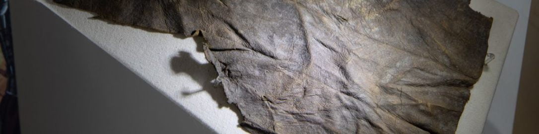 Fragment zachowanego rzymskiego skórzanego namiotu