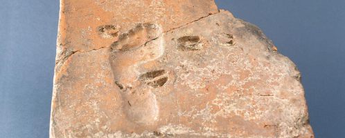 Traces of child and deer on Roman roof tiles