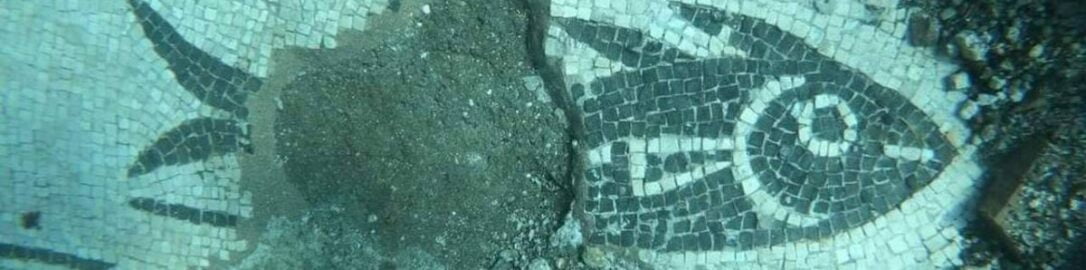 New mosaic showing fish was discovered in Baiae underwater