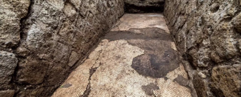 Roman mosaic was discovered in Naples, possibly decorating house of Vedius Pollio