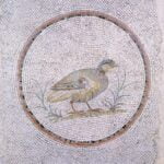 Partridge on Roman mosaic